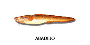 Abadejo