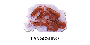 Langostino