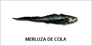 Merluza de cola