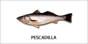 Pescadilla