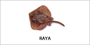 Raya